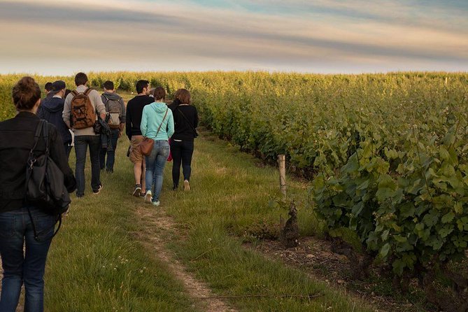 Tour of a Vineyard, Winery & Cellar With Wine Tasting in Vouvray, Loire Valley - Additional Tour Information