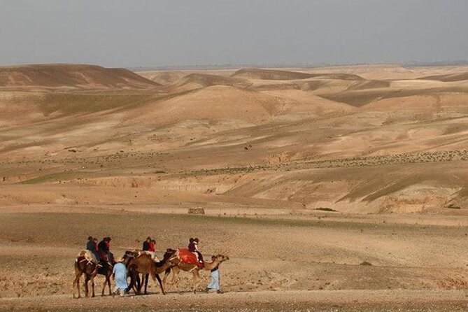 Traditional Dinner In Agafay Desert And Camel Ride - Highlights of the Camel Ride