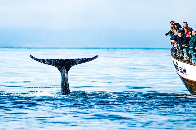 Traditional Oak Ship Whale Watching Tour From Husavik - Accessibility and Age Restrictions