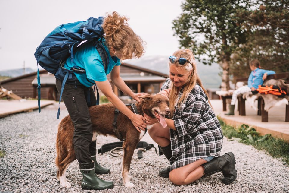 Tromsø: Husky Hike and Puppy Visit With Traditional Lunch - Physical Fitness Requirement