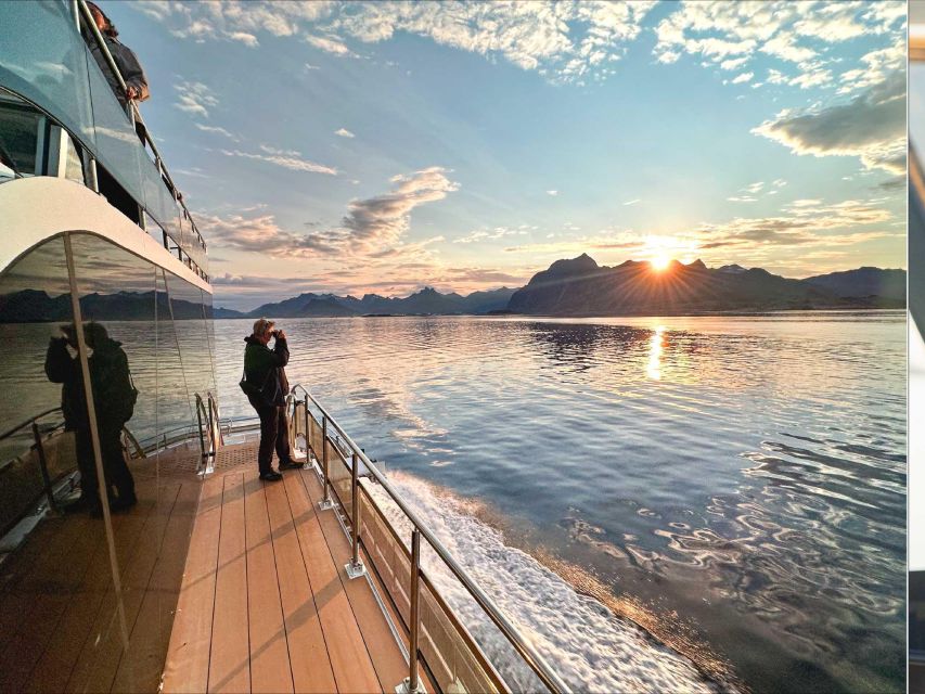 Tromsø: Midnight Sun or Sunset Cruise With a Guide - Wildlife Sightings