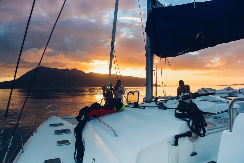 Tromsø: Midnight Sun or Sunset Sail - Price and Booking Information