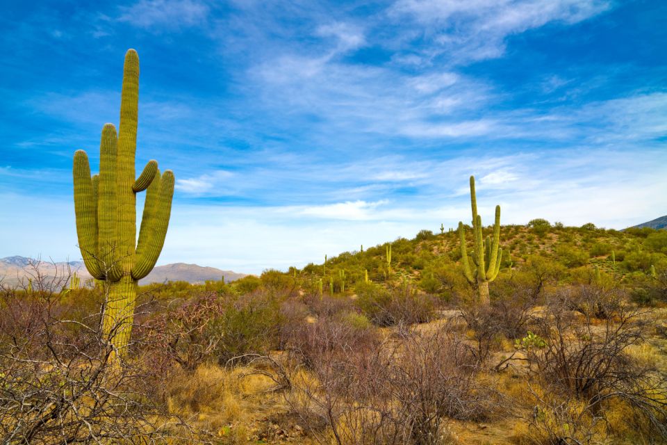 Tucson: Mt Lemmon & Saguaro NP Self-Guided Bundle Tour - Accessing the Self-Guided Tours