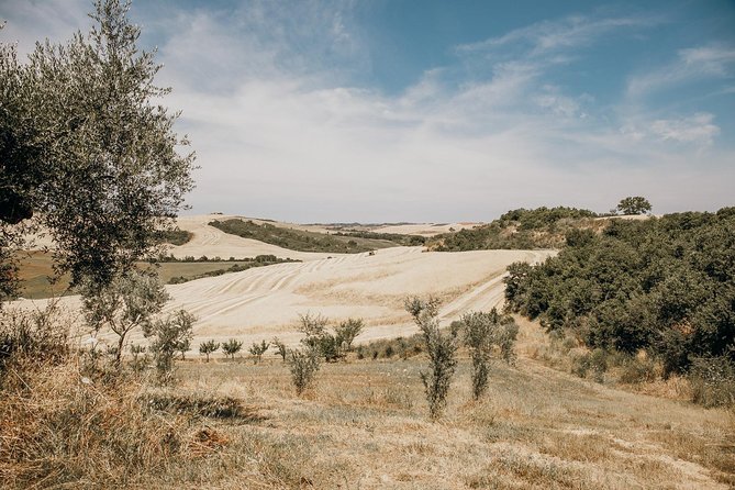 Tuscany From Rome With Winery Lunch & Medieval Towns - Inclusions