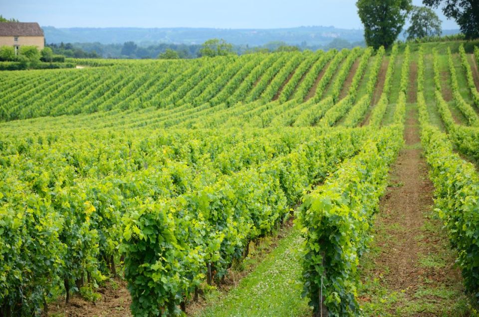 UNESCO Heritage and Wine Delights Private Tour From Bordeaux - Inclusions and Exclusions