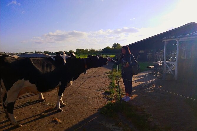 Unique Dutch Villages Zaanse Schans, Dutch Farm and Giethoorn Tour Including Boat Trip - Reviews