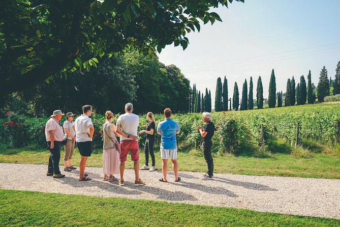 Valpolicella and Amarone Wine-Tasting Tour From Verona - Second Winery and Family Business
