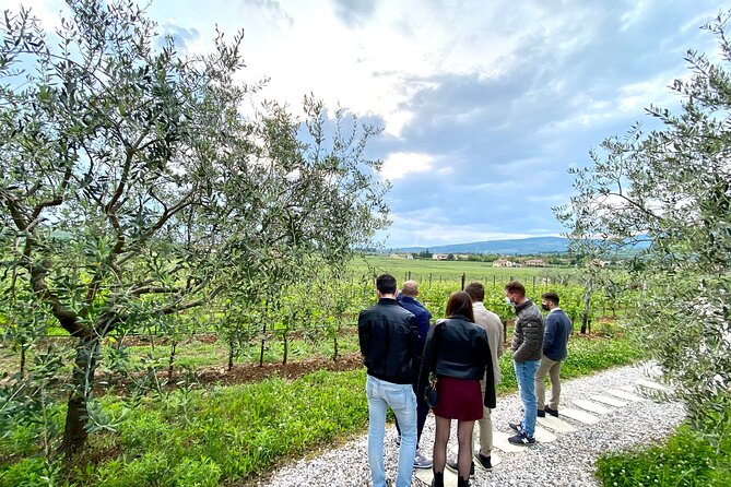 Valpolicella Wine Tour: Explore 3 Wineries, Lunch & Amarone Focus - Tour Guide and Expertise