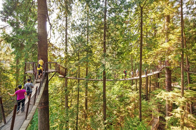 Vancouver City Tour Including Capilano Suspension Bridge - Discovering Capilano Suspension Bridge Park