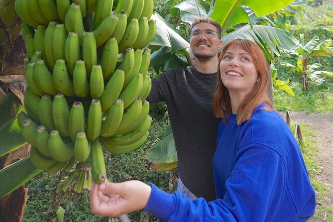 Visit the Ethnographic Park of La Gomera - Booking and Confirmation Process