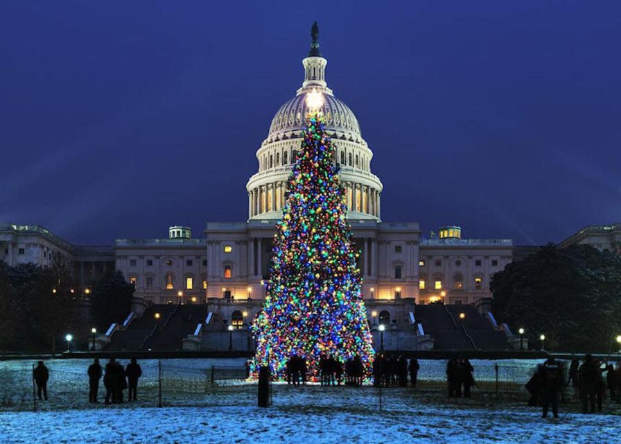 Washington DC: Moon Light Tour of National Mall & Memorials - Important Information