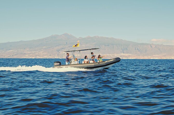 Whale and Dolphin Watching EcoAdventure in Tenerife - Encounter Cetaceans in Tenerife