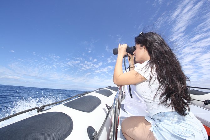 Whale Watching and Marine Science Tour - Pickup and Drop-off