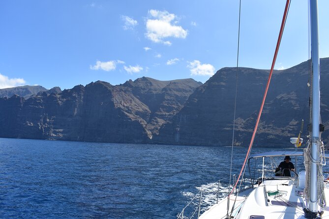 Whale Watching in Los Gigantes for Over 11 Years - Schedule and Duration