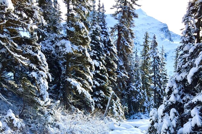 Whistler Lost Lake Snowshoeing and Village Tour - Visiting the Whistler Village