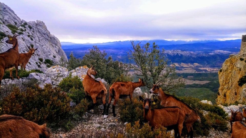 Wild Alps, Verdon Canyon, Moustiers Village, Lavender Fields - Moustiers Sainte Marie