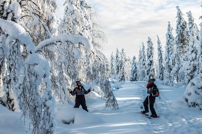 Wilderness Snowshoe Adventure - Wildlife Watching and Photography