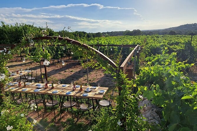 Wine Experience: Vineyard, Wines and Food - Pairing Selections