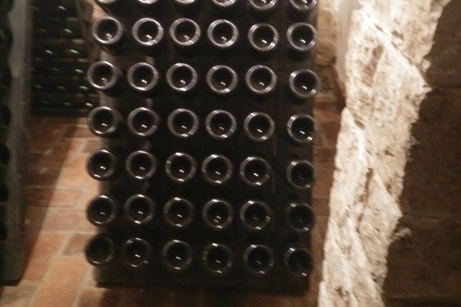 Wine & More Tour , Private Guided Wine Tour From ROVINJ & PULA to Wine Cellars - Hotel Pickup and Drop-off