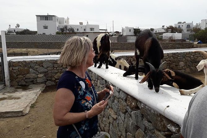 Wine Tasting Tour at a Traditional Farm in Mykonos - Exploring the Islands Traditions