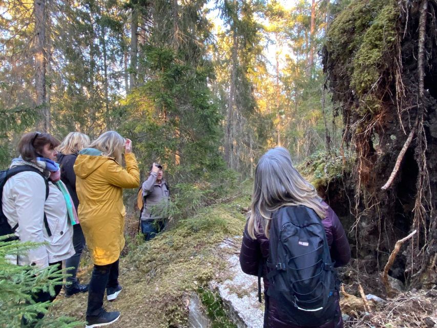 Wolf and Wildlife Tracking in Sweden - Barbecue Meal and Refreshments