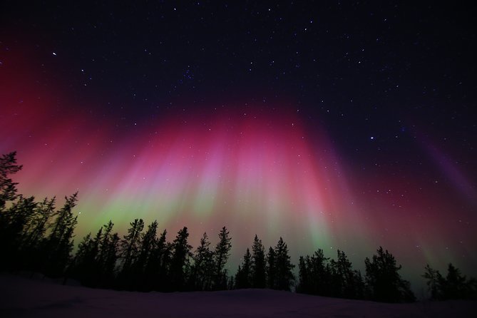 Yellowknife Tours - Aurora by Bus - Photography Tips