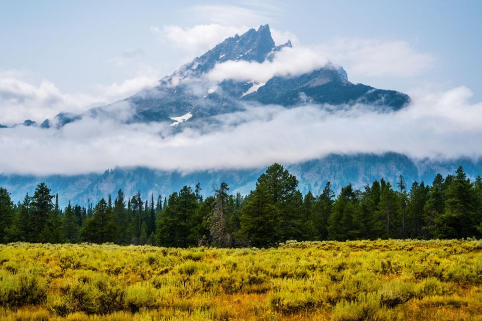 Yellowstone: Winter Wildlife & Snowshoe Adventure - Private Naturalist Guide Services