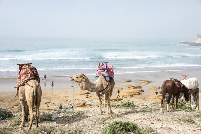 7 Nights Surf Coaching Package in Morocco - Key Points