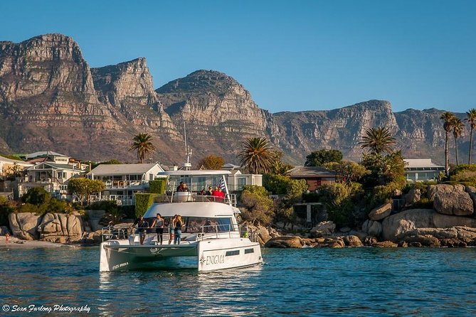 1 Hour Coastal Catamaran Cruise From Cape Town - Accessibility Considerations