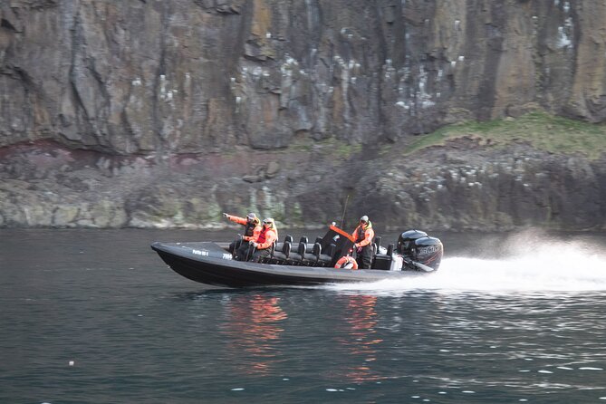 1 Hour Iceland Nature and Wildlife RIB Small Group Guided Safari - Scenic Fjord Environment