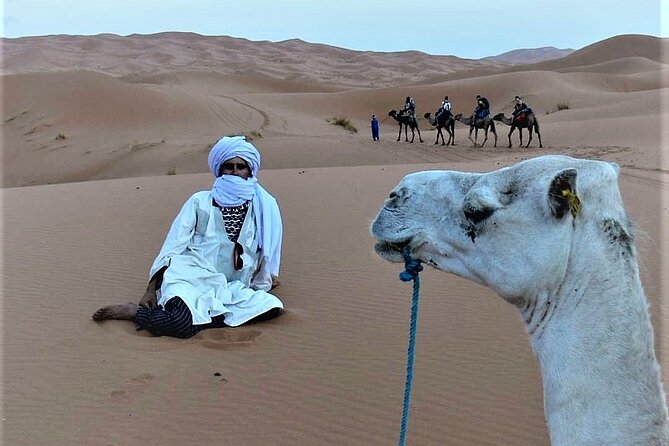 1 Night Camel Trek Over Erg Chebbi Dunes Merzouga No Extra - Booking and Accessibility