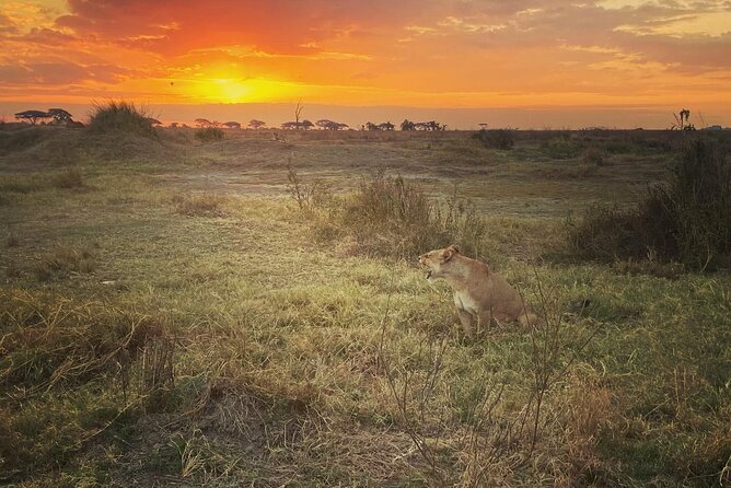 2- Day Wildlife Tour & Tanzanite Mining Discovery - Wildlife and Scenery