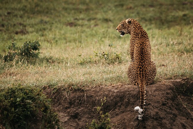 3-Day Masai Mara Luxury Safari - Pre-Booking Confirmation and Accessibility