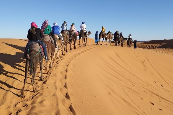 3 Days Desert Tour From Marrakech to Merzouga Dunes & Camel Trek - Camel Trek Highlights