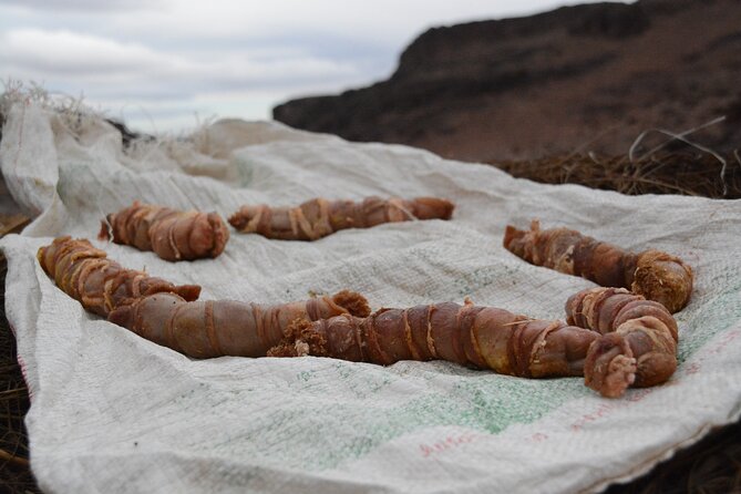 3 Days Homestay With Last Berber Nomads in the Atlas Mountains - Traveler Reviews and Ratings