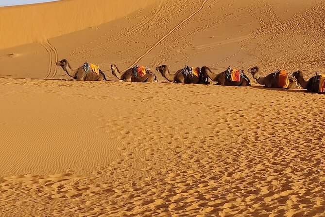 3 Days Luxury Desert Tour From Fes To Marrakech via Merzouga - Memorable Camel Rides and Activities