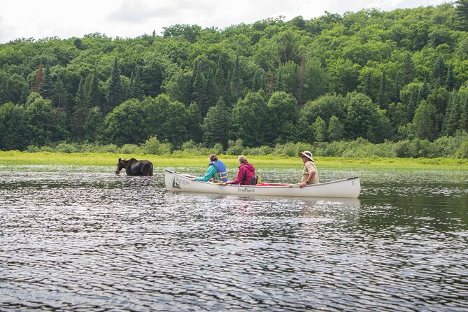 4-Day Algonquin Park Canoe Trip - Cancellation and Refund Policy