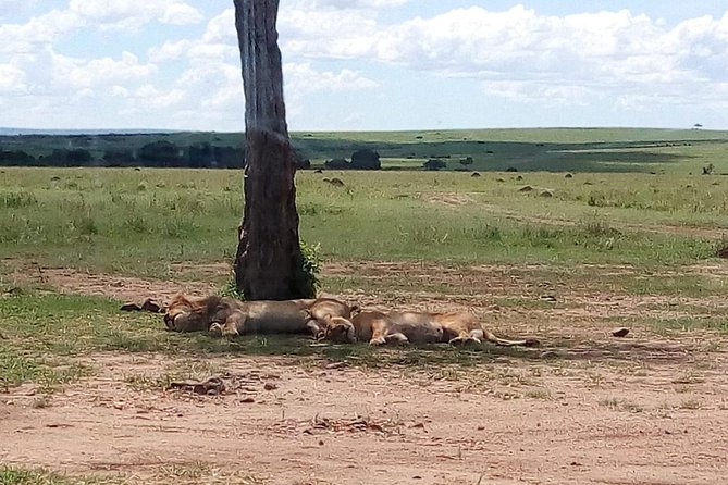 4-Day Safari: Lake Manyara, Serengeti & Ngorongoro - Physical Fitness Requirements