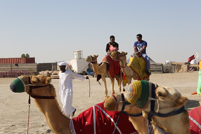 4 Hour Desert Safari, Camel Ride & Inland Sea Beach - Included Activities