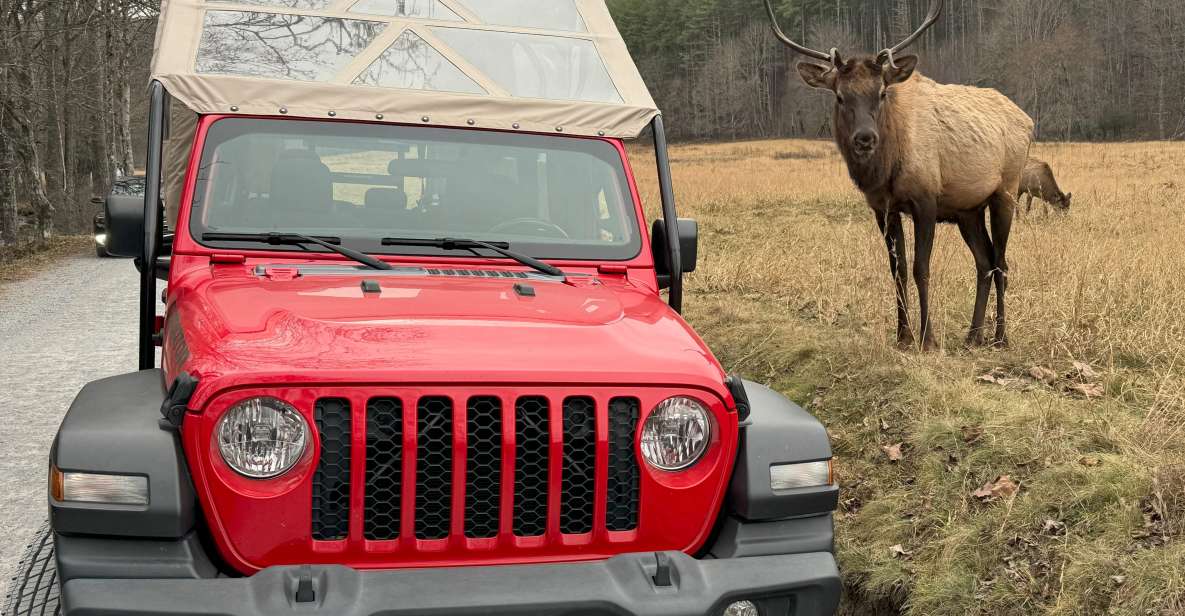 4 HR. Guided Safari Jeep Eco, ELK Wilderness Adventure - Unforgettable Experiences