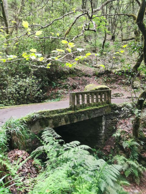 4x4 Jeep Tour to the East & Northeast of Madeira - Off-road Adventures and Scenic Drives