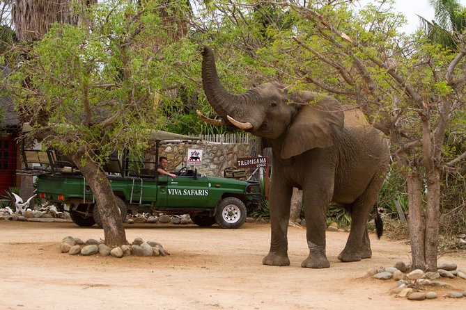 6 Day Classic Kruger National Park Safari From Johannesburg - Included Amenities and Activities