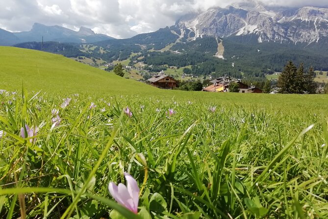 A Day Among the Most Beautiful Mountains in the World, the Dolomites and Lake Braies - Additional Tour Information