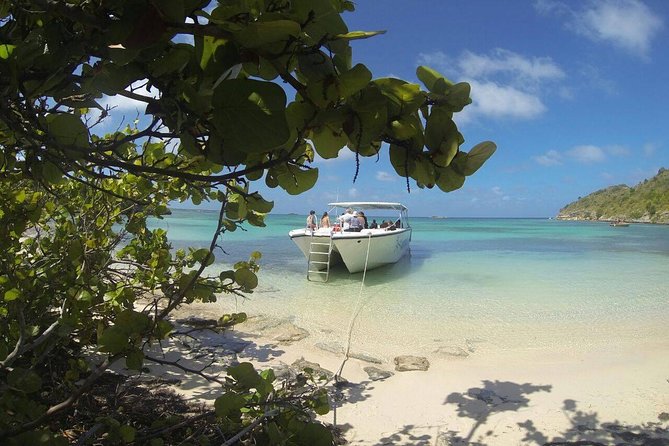 Adventure Antigua - Elis Original Eco Tour - Discovering the Mangrove System at Guiana Island