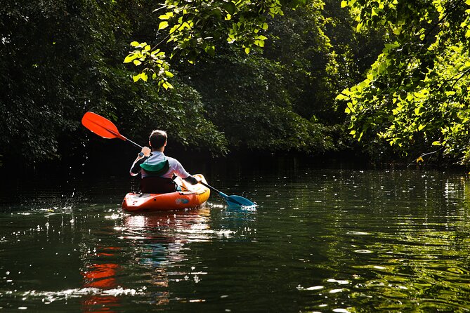 Afternoon Guided Kayak Tour on the Tamarin River - Minimum Travelers Required