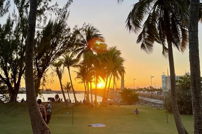 Afternoon Kayak and Paddleboard Tours in Condado Lagoon - Choosing Your Water Activity