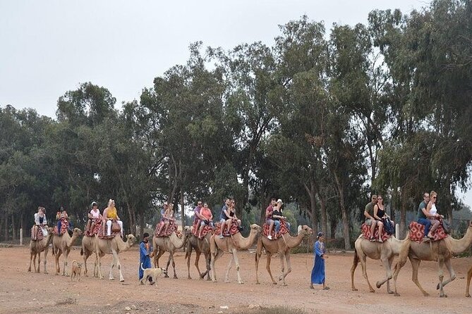 Agadir Camel Ride Experience - Nearby Attractions and Beaches