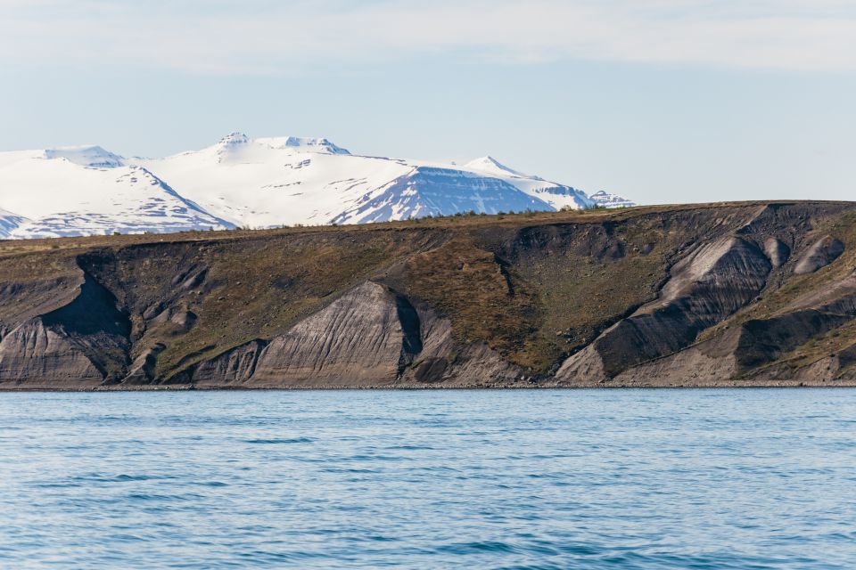 Akureyri: 3-Hour Classic Whale Watching Tour - Encounter Humpback Whales