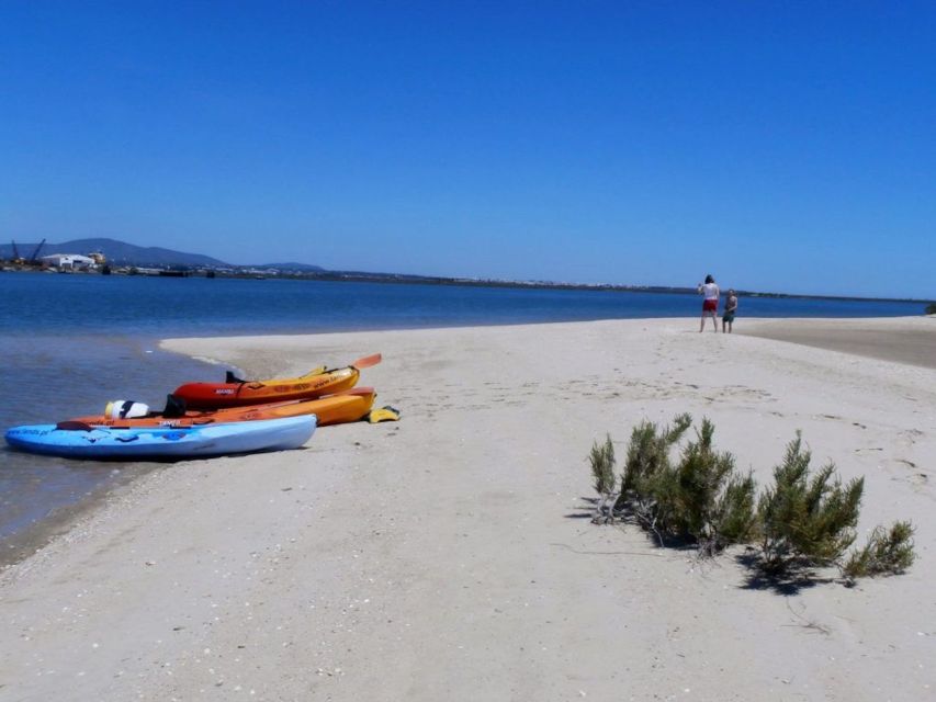 Algarve: 2-Hour Ria Formosa Kayak Tour From Faro - Preparation Tips