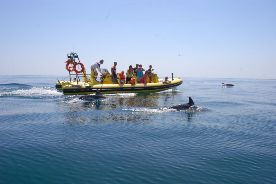 Algarve Coast: Dolphin Watching & Cave Tour - Language Options